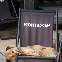 Монтажёр устал...) :: Витюшка07 