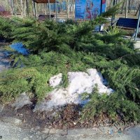 Последний день зимы... :: Нина Бутко Последний день зимы... :: Нина Бутко