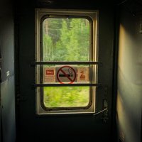 Лето за окном поезда :: fogmeadowww m
