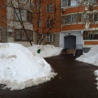 Последний день зимы в Москве (зарисовки неюного натуралиста) :: Андрей Лукьянов