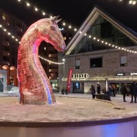 Огненная лошадь :: Veera V