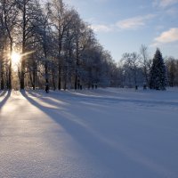 Екатерининский парк :: tipchik 