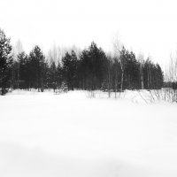 Мечты о ч/б Лейке 23. :: Михаил Елочкин