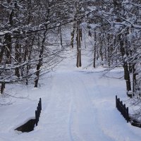 Зимние картинки :: Рита Симонова