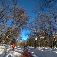Прогулки в Зимнем Парке :: юрий поляков