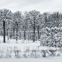 Про Питер :: Владимир Колесников