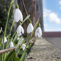 Весна на дворе. Пора влюбляться... :: Валерий Басыров