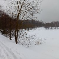 Первый день весны-2026 - продолжение ЧБ-сезона в фотографии :: Андрей Лукьянов