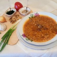 В морозный день рекомендую харчо :: Галина Нестратова