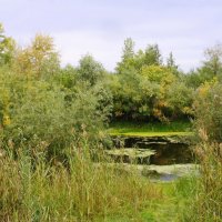 Начало осени. :: сергей ермошкин