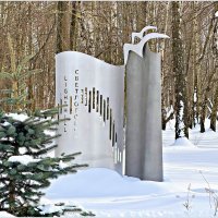 Светлогорск. :: Валерия Комова