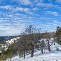 А небо уже весеннее :: Наталья Димова