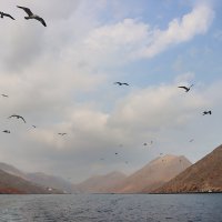 Берега Ормузского пролива :: Галина Ильясова