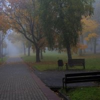 Утренний туман :: Владимир Гришин