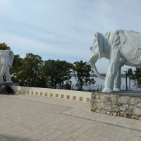 Слоны на Волге :: Надежда 