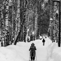 **** :: Игорь Николаев