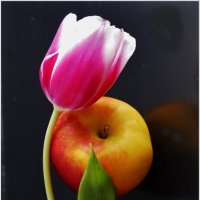 ЧУВСТВЕННОСТЬ.... :: Elvira E. 