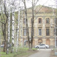 "За берёзами" :: Макс Орлов