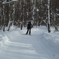 Зима - радость для лыжников! :: Freddy 97