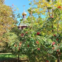 Золотые купола :: Надежда Золотые купола :: Надежда