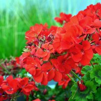 . :: Дмитрий Шароватов