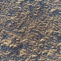 Следы на песке. Прилетели, поклевали, натоптали, улетели! :: Лилия *