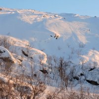 Март за окном :: Мария Васильева