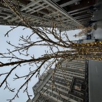 Москва :: Натали 