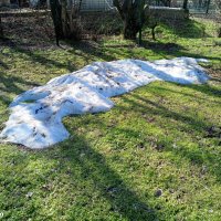 Март в ростовском зоопарке :: Нина Бутко