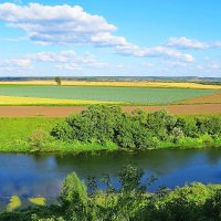 окские дали, июль :: shasha1950 