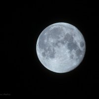 *** :: Андрей Андрианов