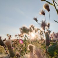 закат :: Лидия Меркулова