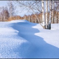 Предчувствие весны :: **** vedin