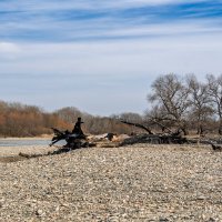 Реку Кубань в марте :: Игорь Сикорский