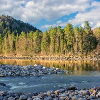 Утро на Бие :: елена беликова Утро на Бие :: елена беликова