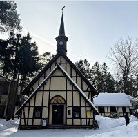 Органный зал зимой. :: Валерия Комова