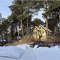 Зимний Светлогорск. :: Валерия Комова