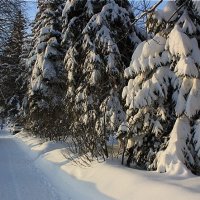 А на улице - зима... :: Alisia La DEMA