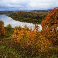 Краски осени :: Владимир Гришин