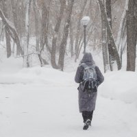 Непогода :: юрий поляков