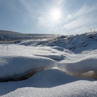 Весна всё ближе :: Сергей Герасимов Весна всё ближе :: Сергей Герасимов