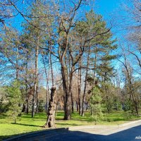 Март в ростовском зоопарке :: Нина Бутко