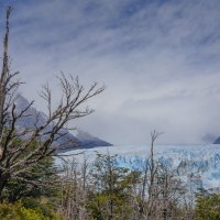 У кромки вечных льдов... :: Владимир Жданов