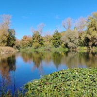 Самара. Ботанический сад. :: Надежда 