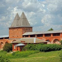 Зарайский кремль :: Владимир Соколов (svladmir)