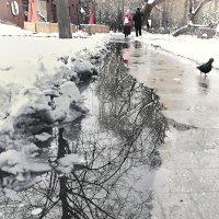 Первый день весны 2026 г :: Олег Стасенко