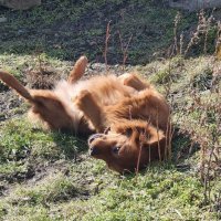 Весеннее настроение :: Наталья Весеннее настроение :: Наталья