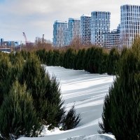 Застроили Мневники. :: Александр 