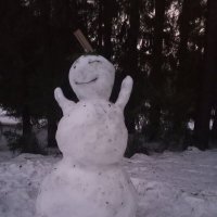 Снеговик :: Сапсан 