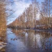 **** :: Елизавета .